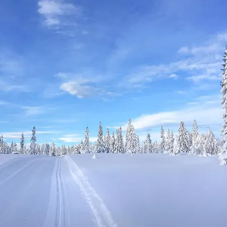 3 Bedroom Lovely In Holiday home Sjusjoen