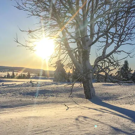 3 Bedroom Lovely In * Sjusjoen