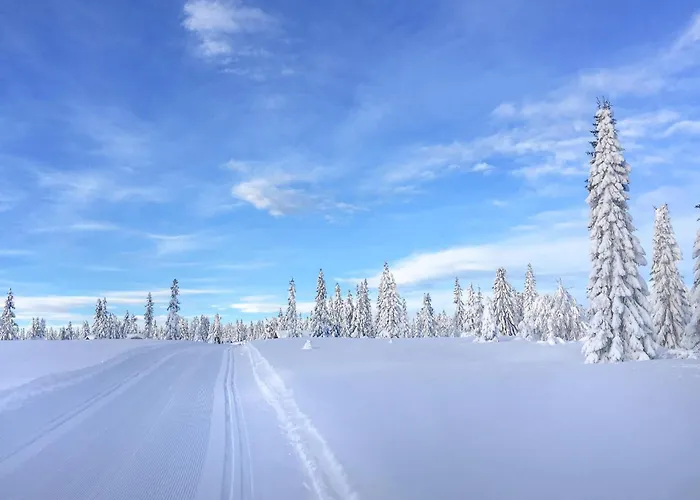 3 Bedroom Lovely In Σπίτι διακοπών Sjusjoen