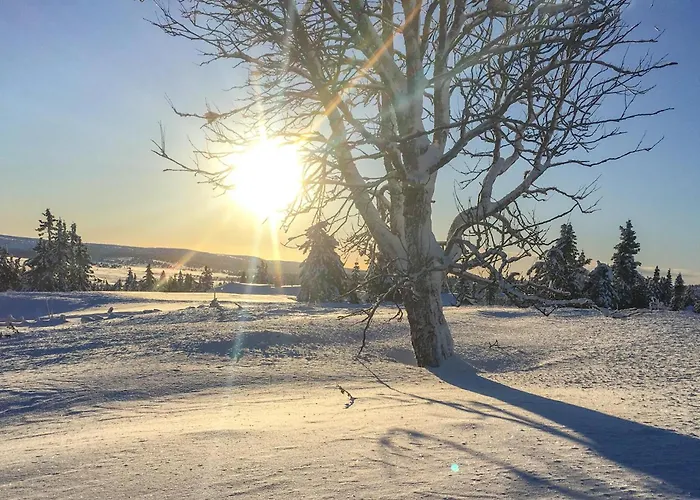 3 Bedroom Lovely In * Sjusjoen
